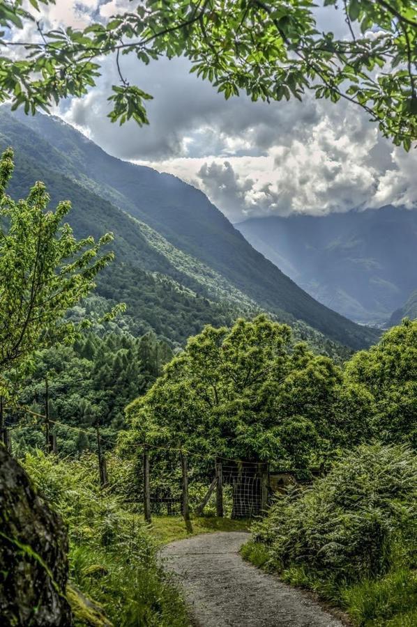 Grotto Zendralli Roveredo Экстерьер фото