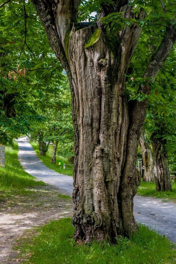 Grotto Zendralli Roveredo Экстерьер фото